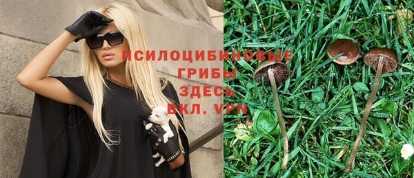 прущие крисы Абдулино