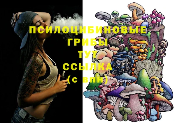метадон Надым